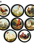 Cabinet knob set featuring vintage-style illustrations of roosters and hens — colorful plumage and barnyard charm.