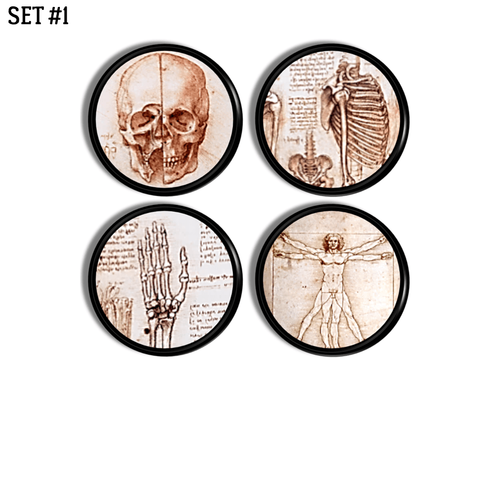 Set of 4 handmade furniture drawer pulls featuring Leonardo Da Vinci Sketchings of human skull, skeletal anatomy and Vitruvian Man on black knobs.