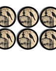 6 Gothic décor cabinet drawer pulls. Black bird on old antique birdcage. Edgar Allan Poe Raven Crow dresser door knob