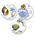 Set of 3 white, blue and tan decorative knobs. Crab, Seashell and Starfish for coastal decor.