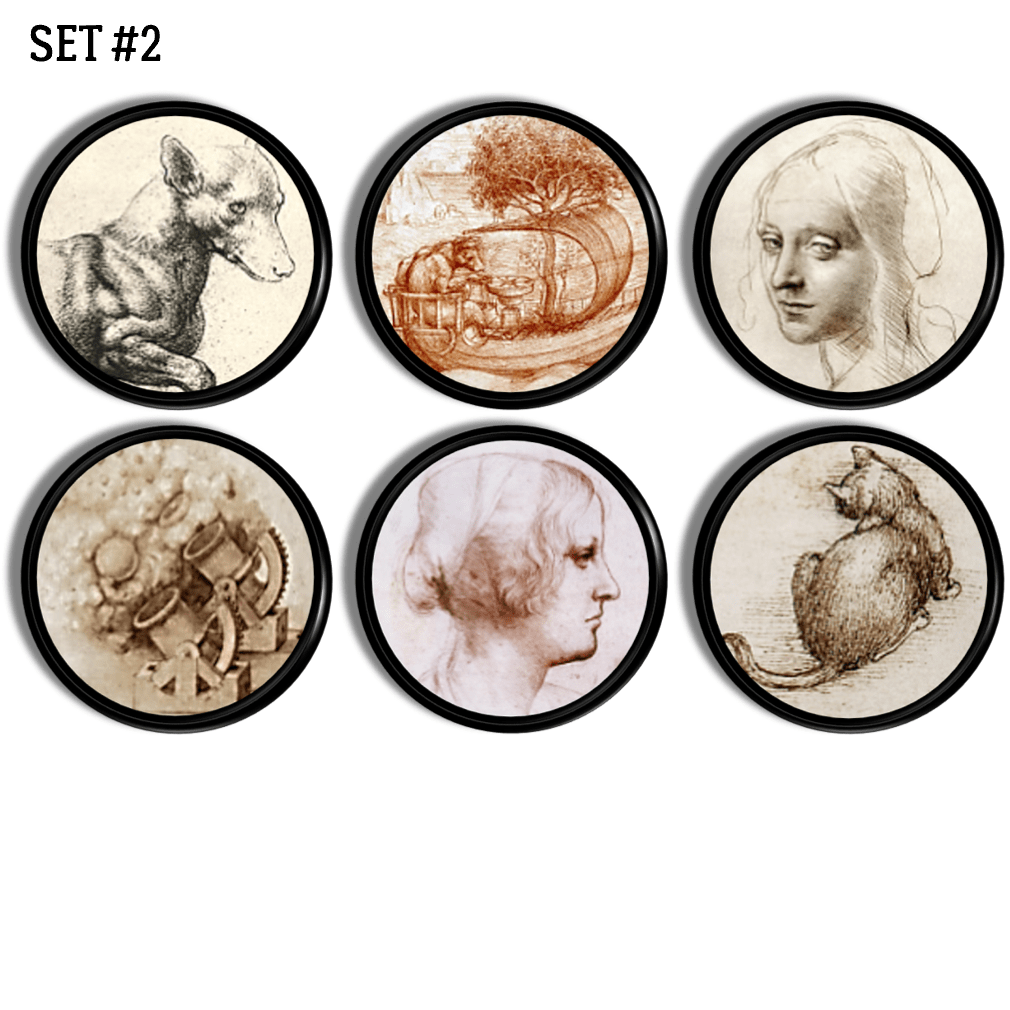 Collection of 6 cabinet drawer pulls handmade with Leonardo Da Vinci animal, landcape, invention and femail portrait art. Made on black knob.