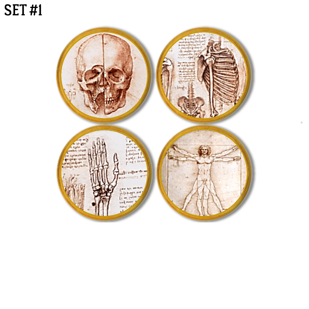 Four wooden knobs. Set of Da Vinci themed hardware decorated with drawwings and medical anatomy study notes on human skull, hand, rib and pelvis bones and Vitruvian Man.