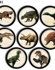 Boy's playroom home decor. Handmade knobs for dino nursery storage cabinet handles, dinosaur dresser drawer pulls or Jurasic clothing hooks.