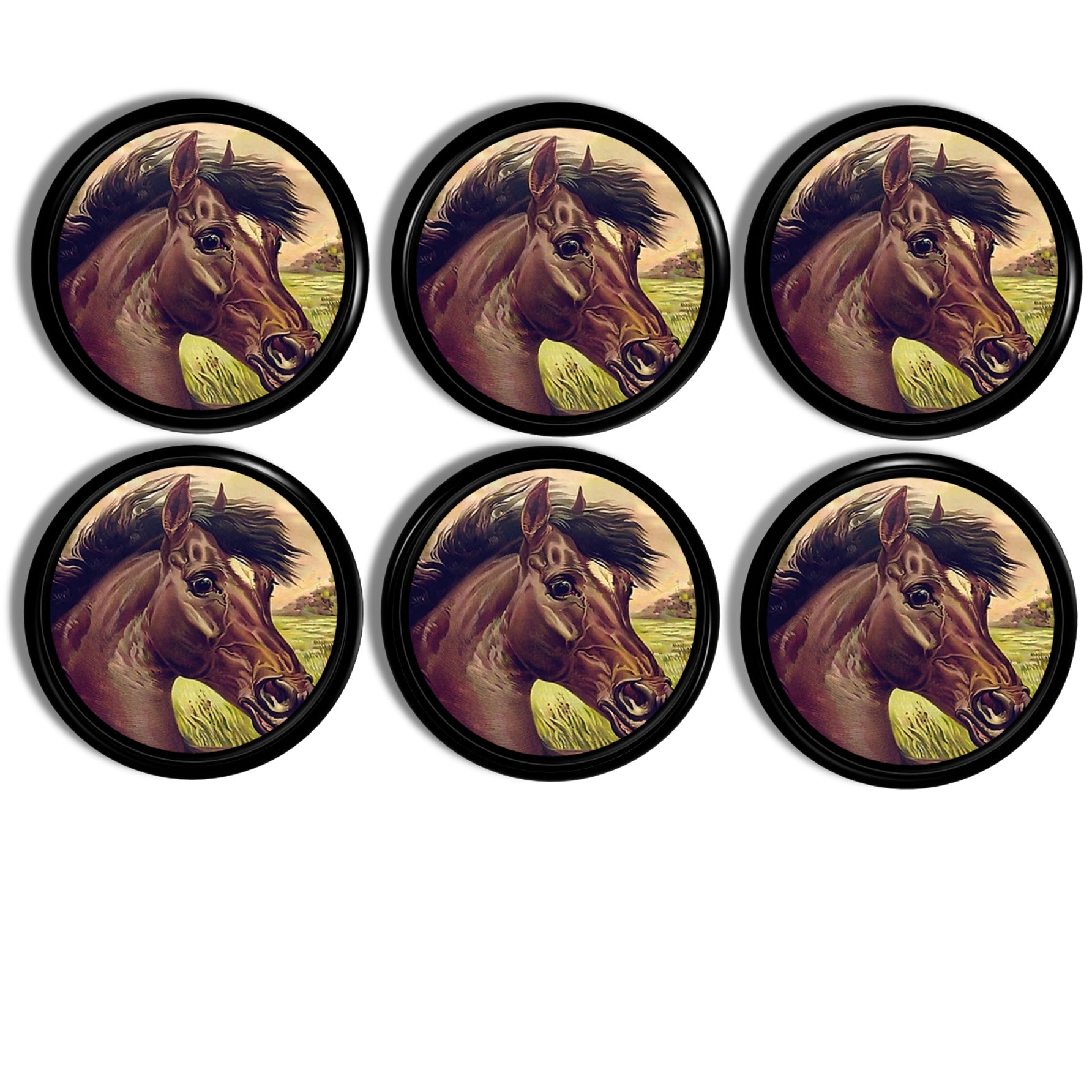 6 dresser knob set decorated to look like an oil painting of brown horse face with a green grass pasture in background