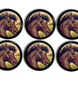 6 dresser knob set decorated to look like an oil painting of brown horse face with a green grass pasture in background