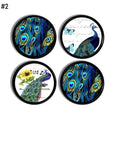 4 Dresser knobs with turquoise blue male peacock bird on postcard background. Unique feather theme door hardware.