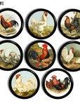 Eight chicken theme cupboard door knobs for rustic country kitchen cabinets and furniture handles.