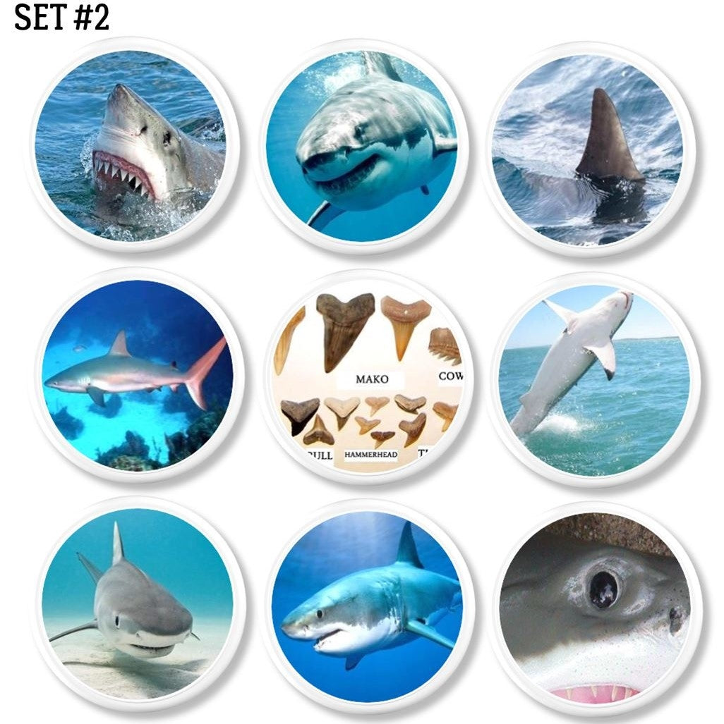 Set of realistic shark furniture pulls. Knobs for kids room, boy bedroom, man cave or science nerd.