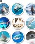 Set of realistic shark furniture pulls. Knobs for kids room, boy bedroom, man cave or science nerd.