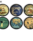 6 decorative reading theme drawer pull handles in vintage calssic childrens literature book cover art. Huckleberry Finn, Swiss Family Robinson, Natural History.
