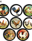 Cabinet knob set featuring vintage illustrations of roosters, hens, and chicks — rustic farmyard scenes and colorful plumage.