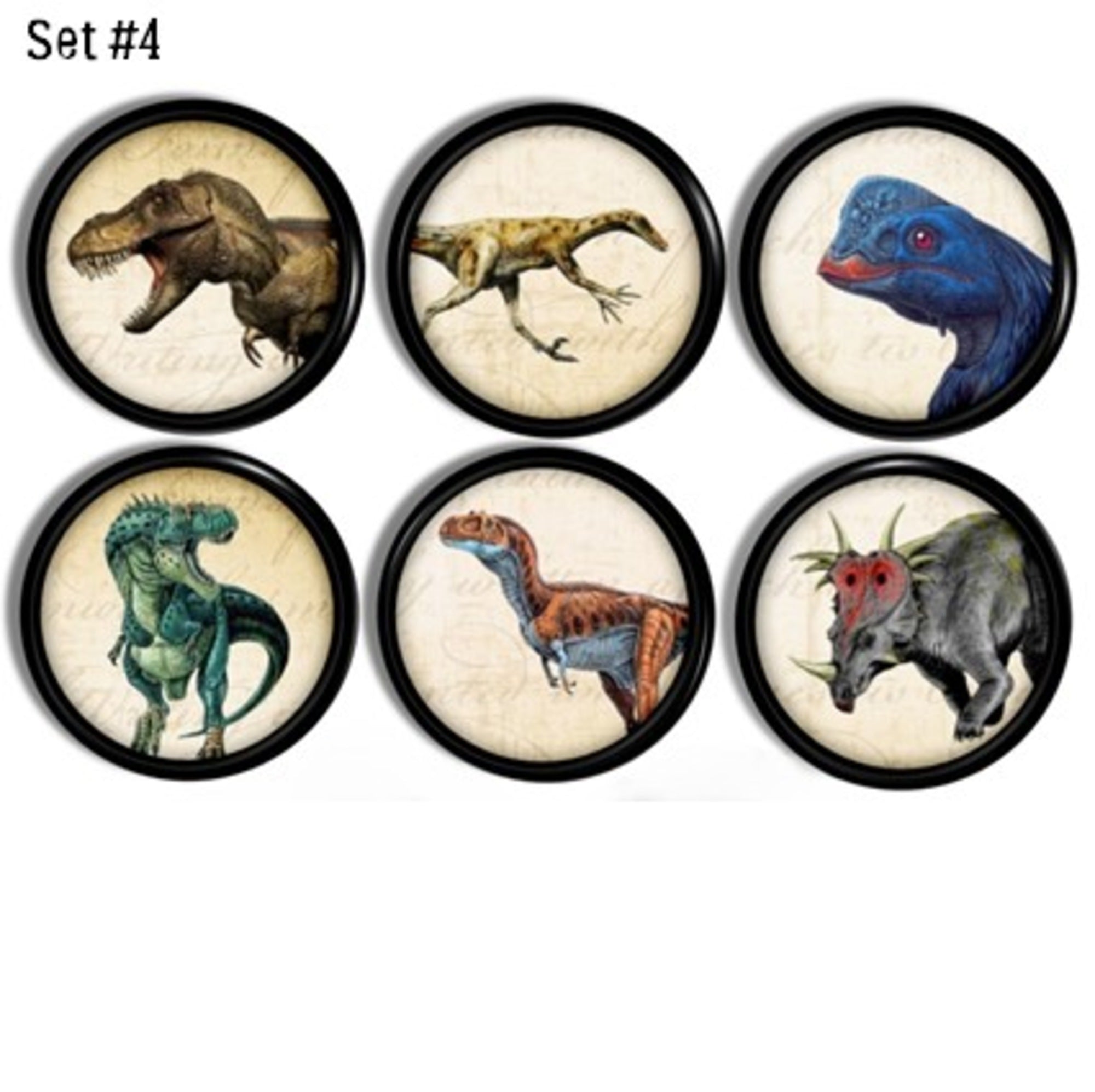 Six handcrafted cabinet knobs featuring colorful dinosaur illustrations in vintage parchment style — showcasing sharp claws, horns, feathers, and expressive postures across a mix of prehistoric species. Ideal for educational drawer pulls in a dinosaur-themed nursery or kids’ room.