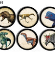 Six handcrafted cabinet knobs featuring colorful dinosaur illustrations in vintage parchment style — showcasing sharp claws, horns, feathers, and expressive postures across a mix of prehistoric species. Ideal for educational drawer pulls in a dinosaur-themed nursery or kids’ room.