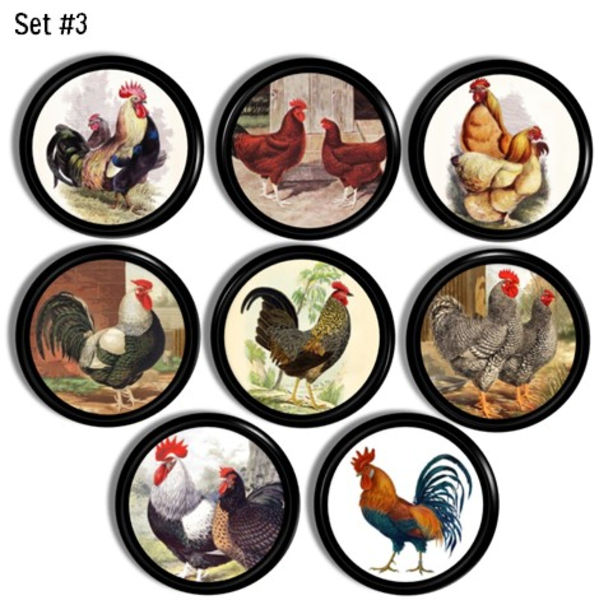 Cabinet knob set featuring vintage chicken breed illustrations — colorful roosters and hens in natural farm scenes.