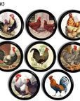Cabinet knob set featuring vintage chicken breed illustrations — colorful roosters and hens in natural farm scenes.