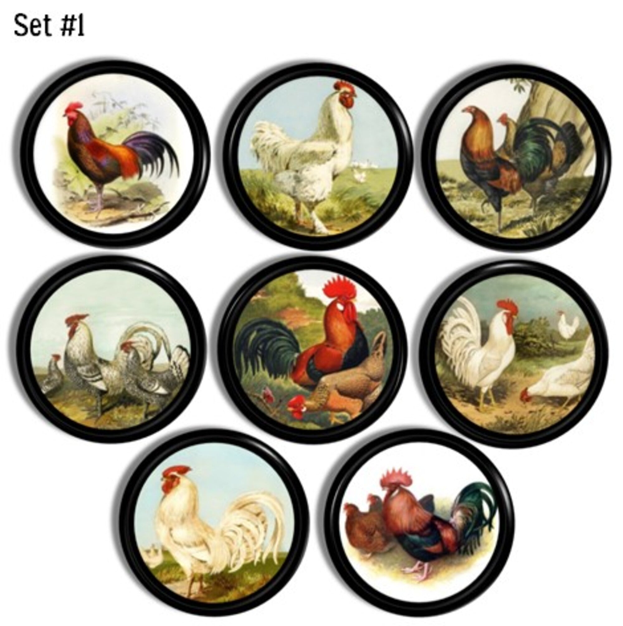 Cabinet knob set featuring vintage-style illustrations of roosters and hens — colorful plumage and barnyard charm.