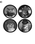 Cat and Kitten photograph decorative cupbooard door handles and drawer pulls. Round black knobs