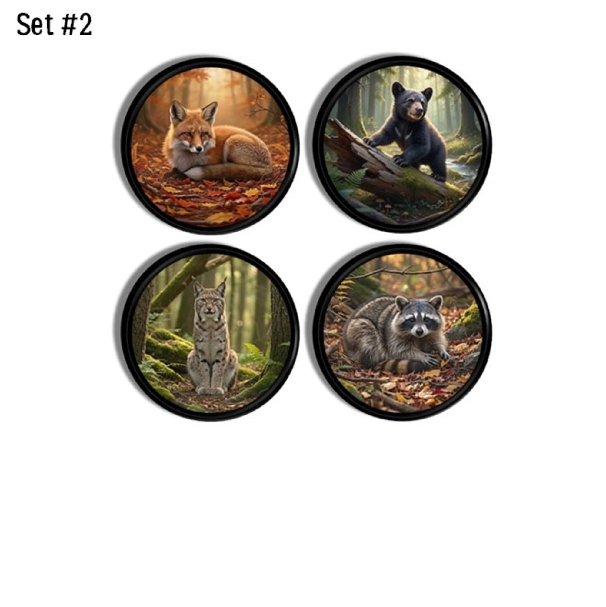 Set of four wildlife cabinet knobs featuring detailed woodland animal designs including fox, bear cub, lynx, and raccoon in warm forest settings.