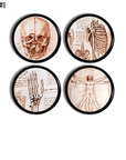 Set of 4 handmade furniture drawer pulls featuring Leonardo Da Vinci Sketchings of human skull, skeletal anatomy and Vitruvian Man on black knobs.