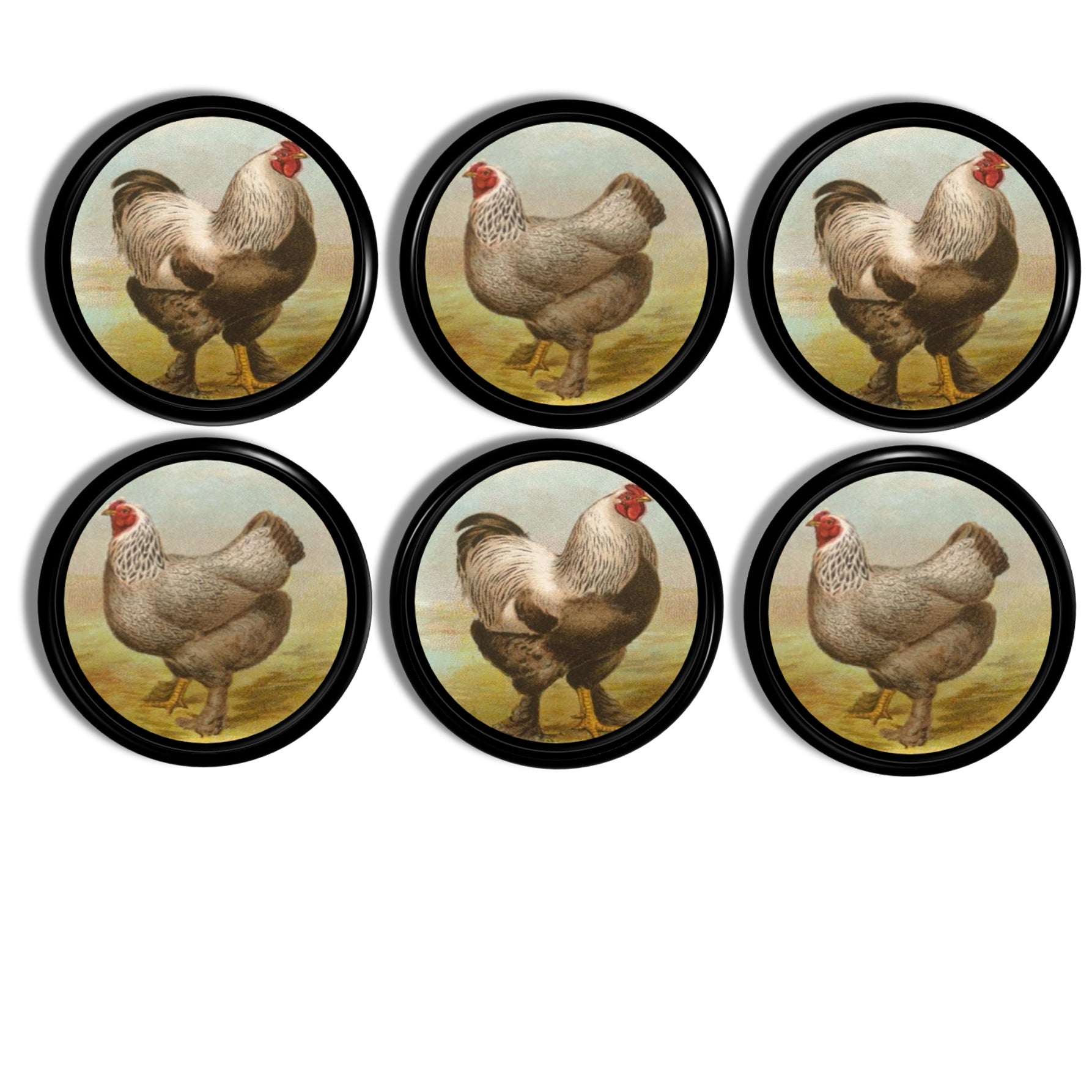 Cabinet knob set featuring antiqued rooster and hen illustrations — muted pastoral scenes with vintage farmhouse charm.