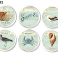 Distressed summer sea coastal theamed furniture knobs with shells, seagul and crab on white drawer pull.