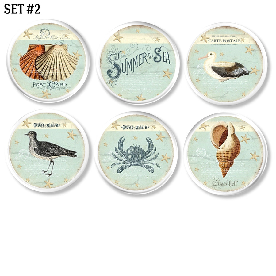 Distressed summer sea coastal theamed furniture knobs with shells, seagul and crab on white drawer pull.