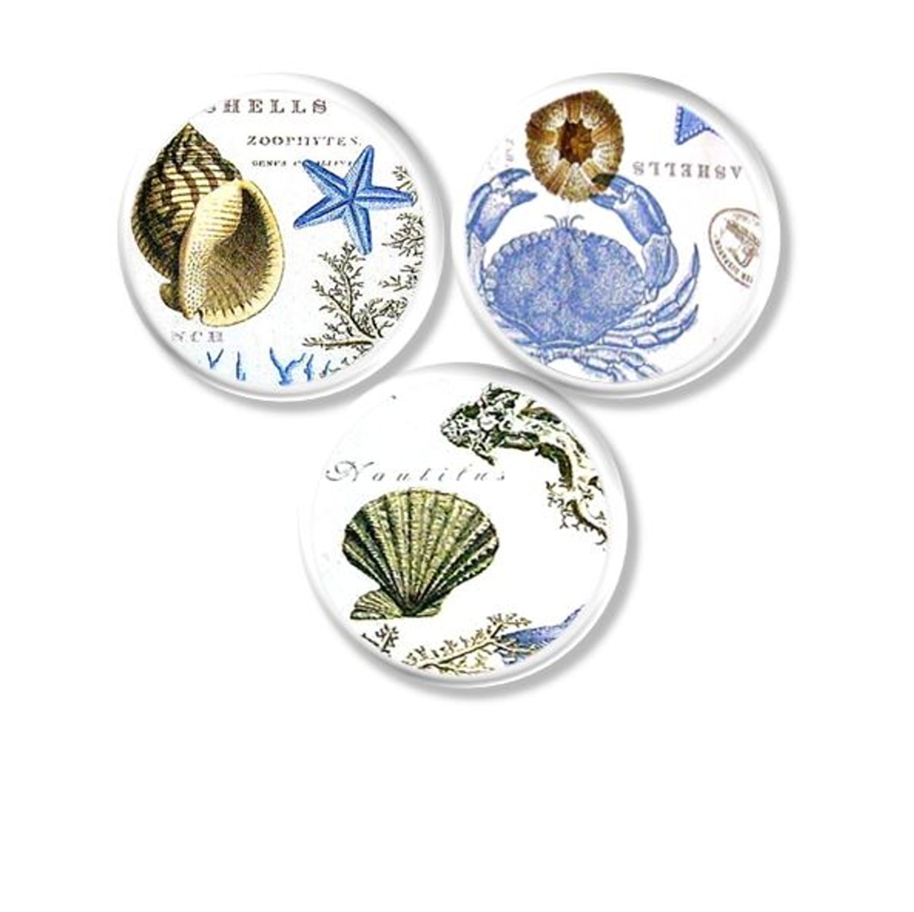 Three coastal sealife cabinet knobs and drawer pulls featuring seashell, starfish, crab, and coral artwork in soft beach‑house tones, perfect for nautical décor and ocean‑inspired furniture accents.