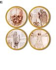 Four wooden knobs. Set of Da Vinci themed hardware decorated with drawwings and medical anatomy study notes on human skull, hand, rib and pelvis bones and Vitruvian Man.