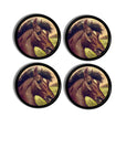 4 furniture knobs with antique looking brown horse illustration. Unique southwestern ranch décor cabinet drawer pulls