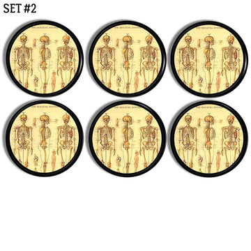 Six decorative furniture drawer pull handles for Gothic curiosity decor decorated with full human skeletal bones.