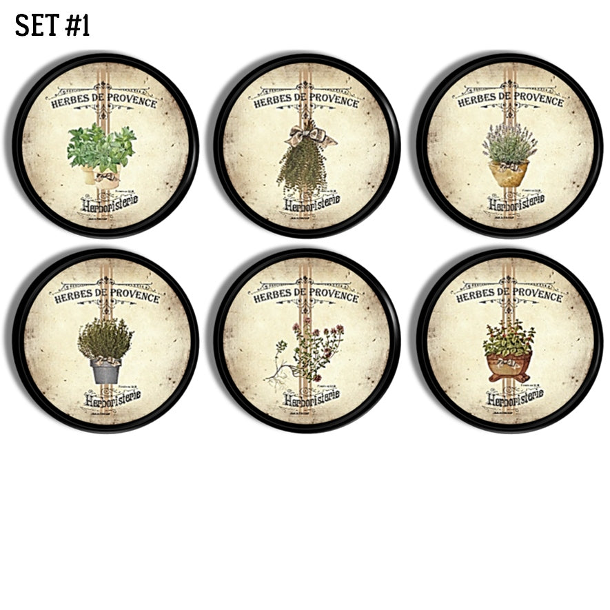 French herb cabinet knobs with vintage Herbes de Provence theme in rustic parchment tones. Botanical drawer pulls for farmhouse kitchen, cottage pantry, or apothecary style décor