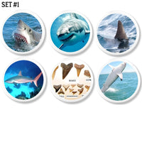 Great White Shark Themed Handmade Knobs with fin, teeth, ocean. Jaws or Shark Week Decor Drawer Pulls