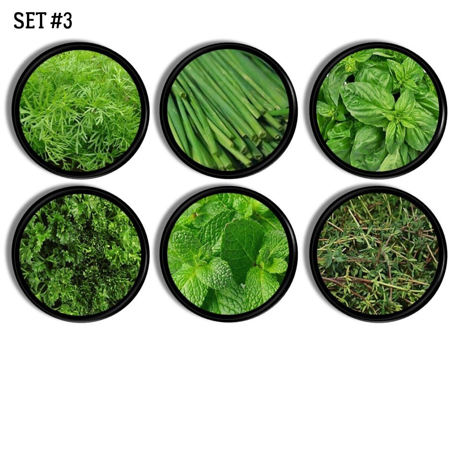 Six black knobs featuring fresh green herb artwork. Includes dill, chives, basil, parsley, mint, and thyme. Handcrafted drawer pulls for garden inspired kitchen or natural pantry cabinet décor.
