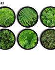 Six black knobs featuring fresh green herb artwork. Includes dill, chives, basil, parsley, mint, and thyme. Handcrafted drawer pulls for garden inspired kitchen or natural pantry cabinet décor.
