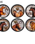 6 cabinet drawer pulls with light and dark brown horse theme. Weathered barn wood background with tin star, horseshoe and rope lassel. Western cowboy ranch decor door handle knob.