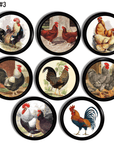 rooster and hen farmhouse kitchen cabinet knobs. Vintage chicken images on black drawer pulls.
