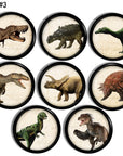 Eight handcrafted cabinet knobs featuring vintage-style dinosaur illustrations — showcasing a range of prehistoric species with horns, feathers, and armor plating on parchment backgrounds. Ideal for educational drawer pulls in a paleontology-themed nursery or kids’ room.