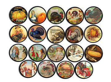 Old Time Thanksgiving Harvest Knobs | Pulls - No. 815W34